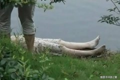 赤脚穿广州产品棕色半高跟凉鞋