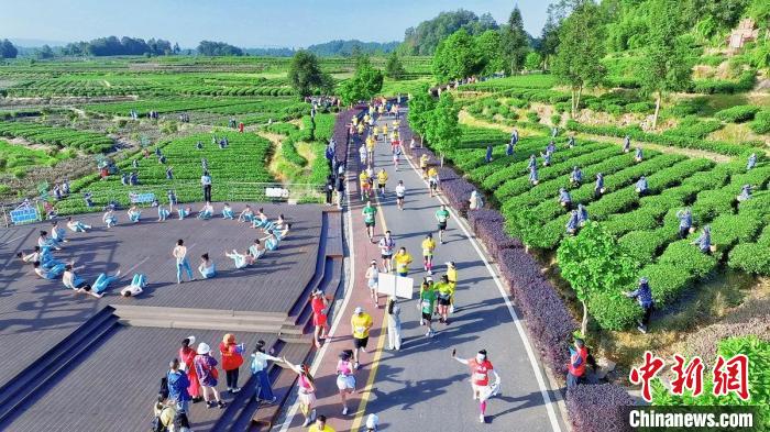 雅安名山站健康跑点燃乡村振兴新活力